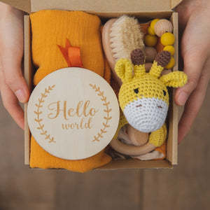 Baby Teething Toys Teether Gift Set - Cubbies Bliss